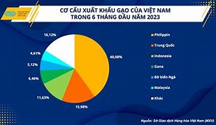 Giá Gạo Việt Tăng Mạnh Hôm Nay