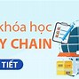 Những Doanh Nghiệp Xuất Nhập Khẩu Tại Mỹ 2024 Là Gì ؟ Gì