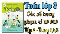 Toán Lớp 4 Trang 59 Sách Cánh Diều